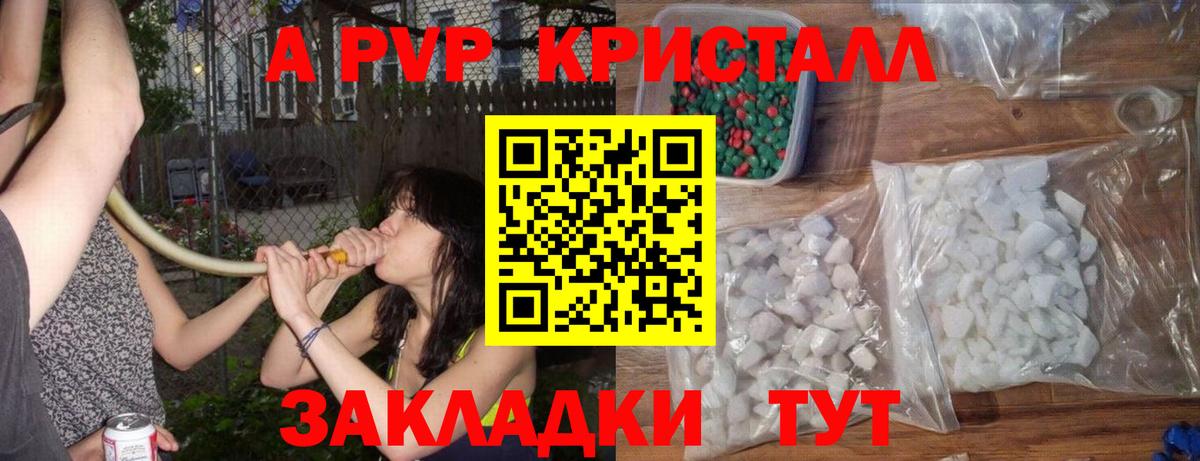 A-PVP VHQ Гай