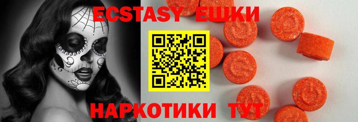 ЭКСТАЗИ бентли Гай