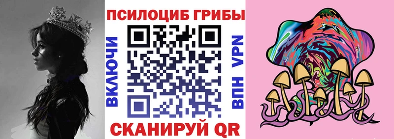 маркетплейс клад мега Гай цены наркотик Галлюциногенные грибы ЛСД