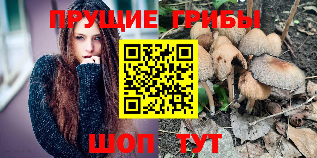 Гай  Галлюциногенные грибы мухоморы  наркошоп  Вход с VPN  Галлюциногенные грибы прущие грибы 